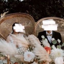 Peacock Chairs