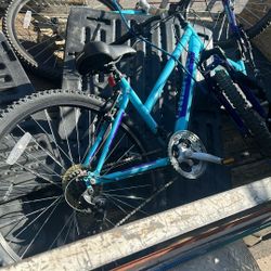 (2) Nishiki Ladies Bikes