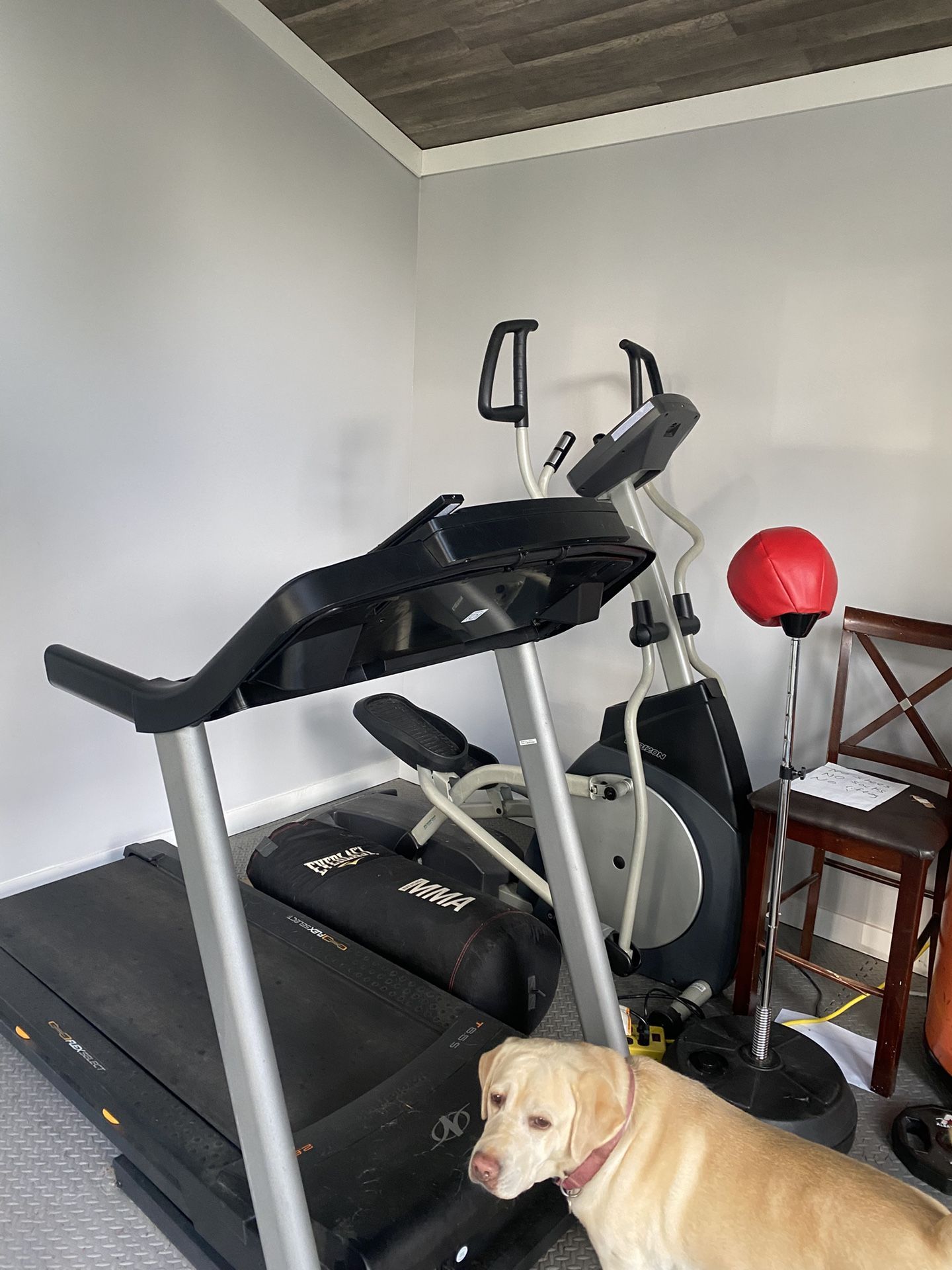 Gym Equipment For Sale