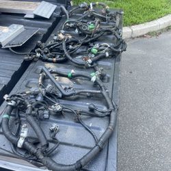 Civic /integra Engine Harness 