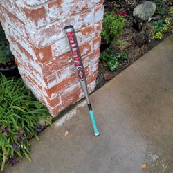 Easton Softball Bat