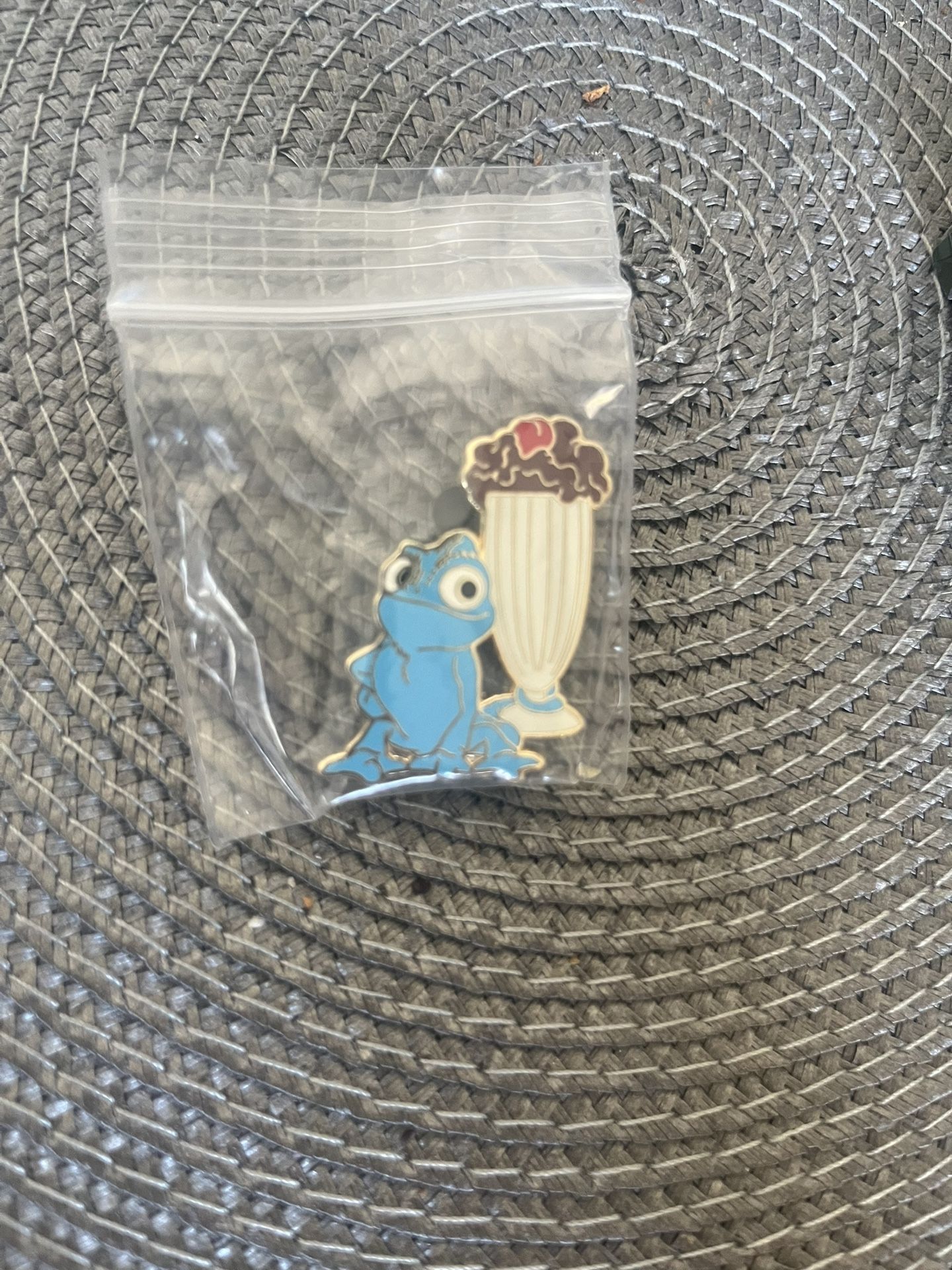 Disney DSSH Blue Pascal Delights Pin