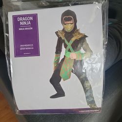 Dragon Ninja