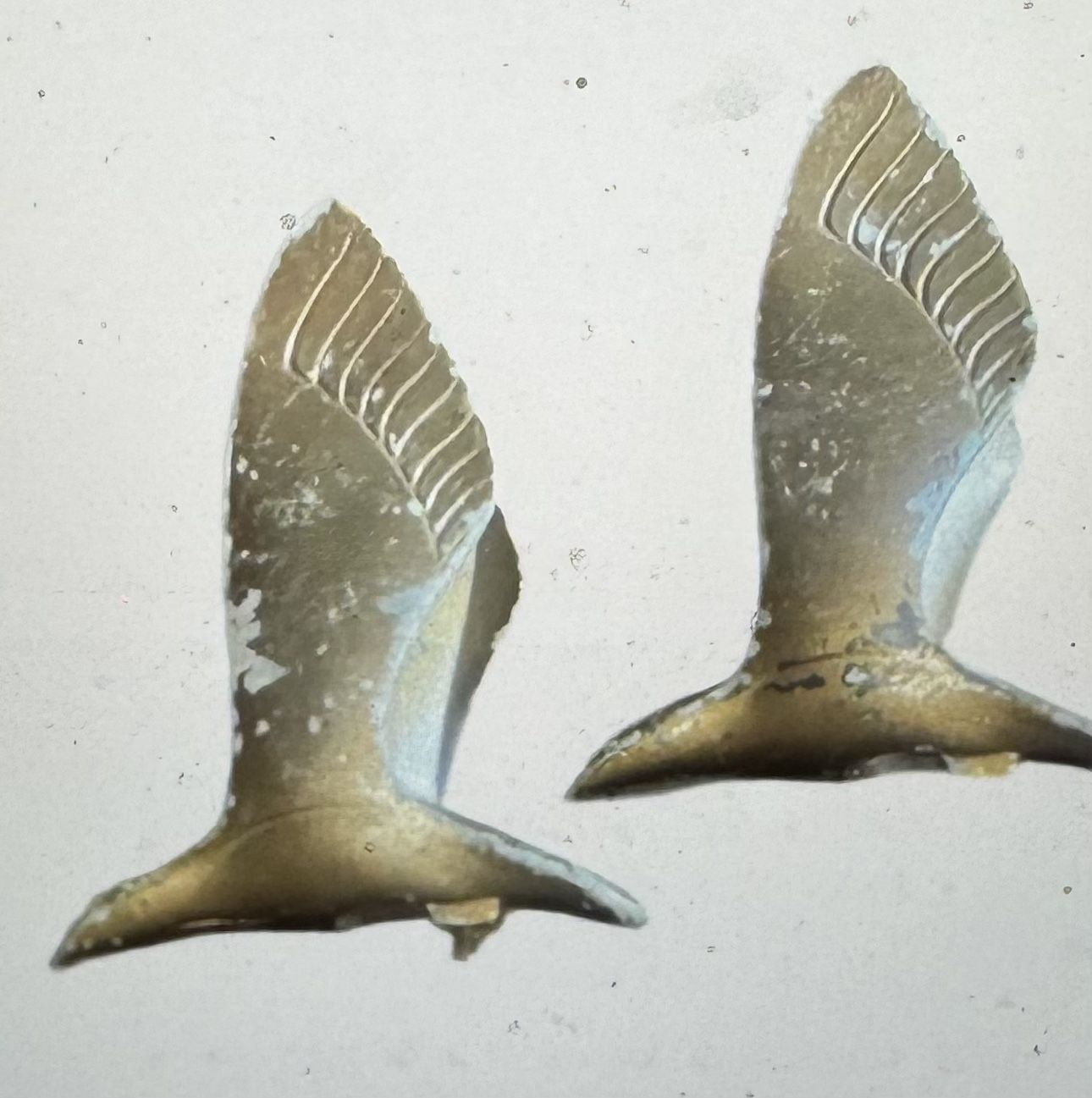 Vintage Two Brass Birds Vertical Wings Orientation Screw Bottom