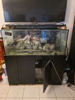 Salt water fish tank