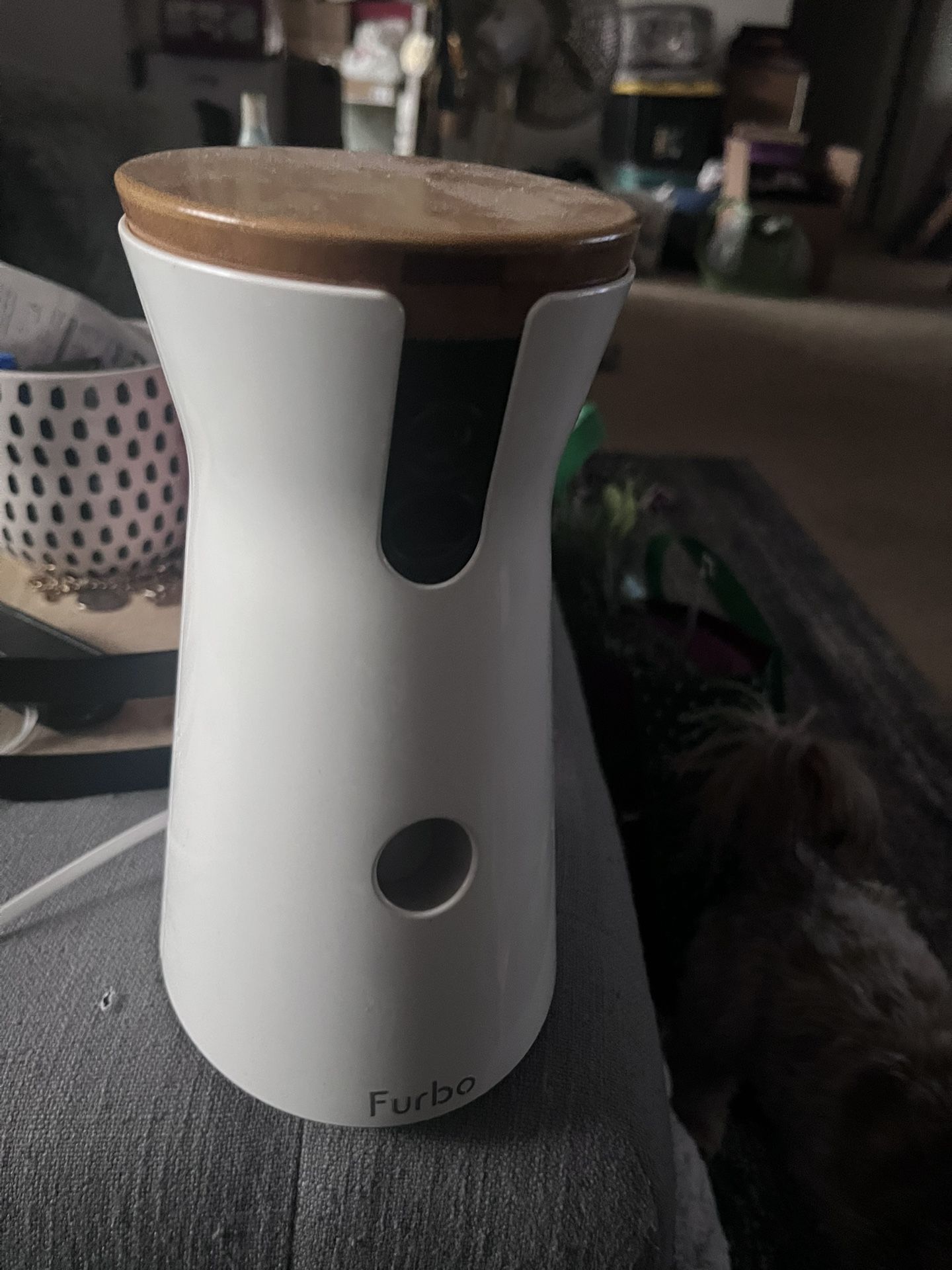 Furbo Dog Camera
