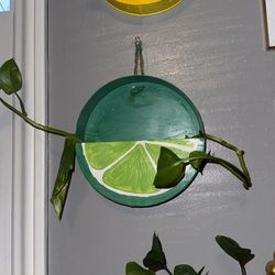 Hanging Planter 