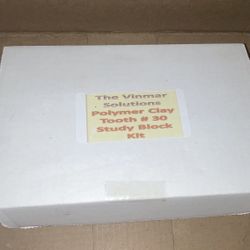 Vinmar Clay DENTAL tooth study block #30