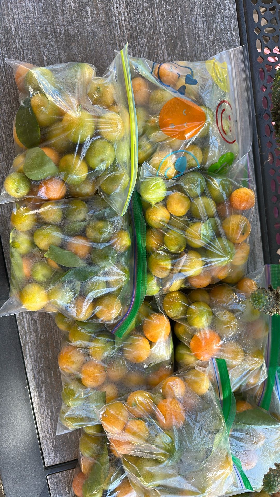 Calamansi Or Philippine Lemon For $1 A Bag