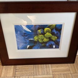 Barbara Brodnuck Print Gorgeous 🖼 Frame