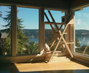 Custom made cat towers!