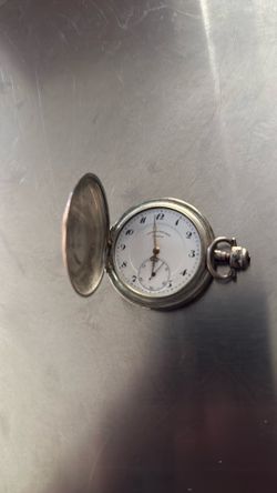 Primula pocket watch