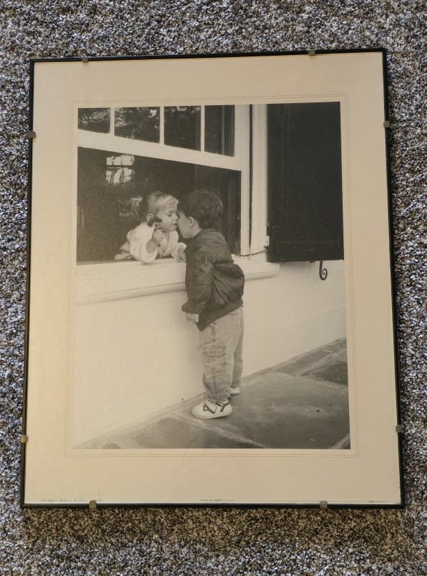 Framed Picture