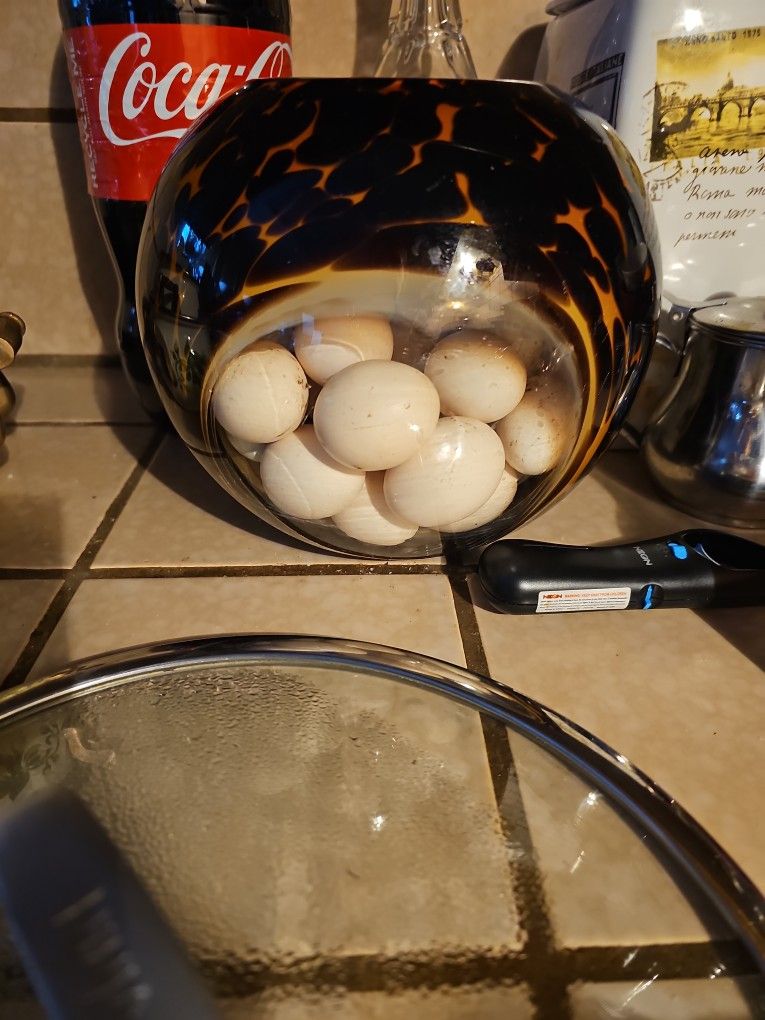 Fresh Eggs Organic 