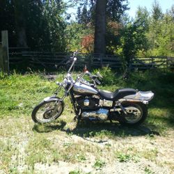 2003   Harley Davidson 