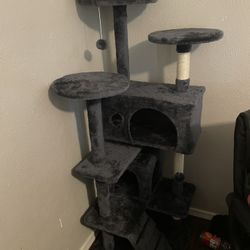 Cat Tower