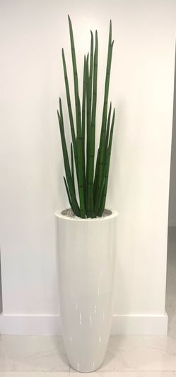 Decoración de casa