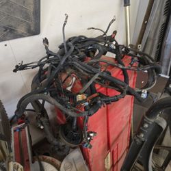 2004 Ls1 GTO Engine Harness Manual Trans