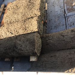 (6) Rolls of Fresh Sod