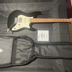 DONNER DST-550 Electric Guitar With Gig Bag Mint!! $100!!