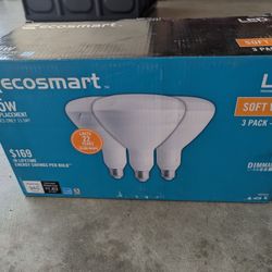 New Fluorescent Light Bulb