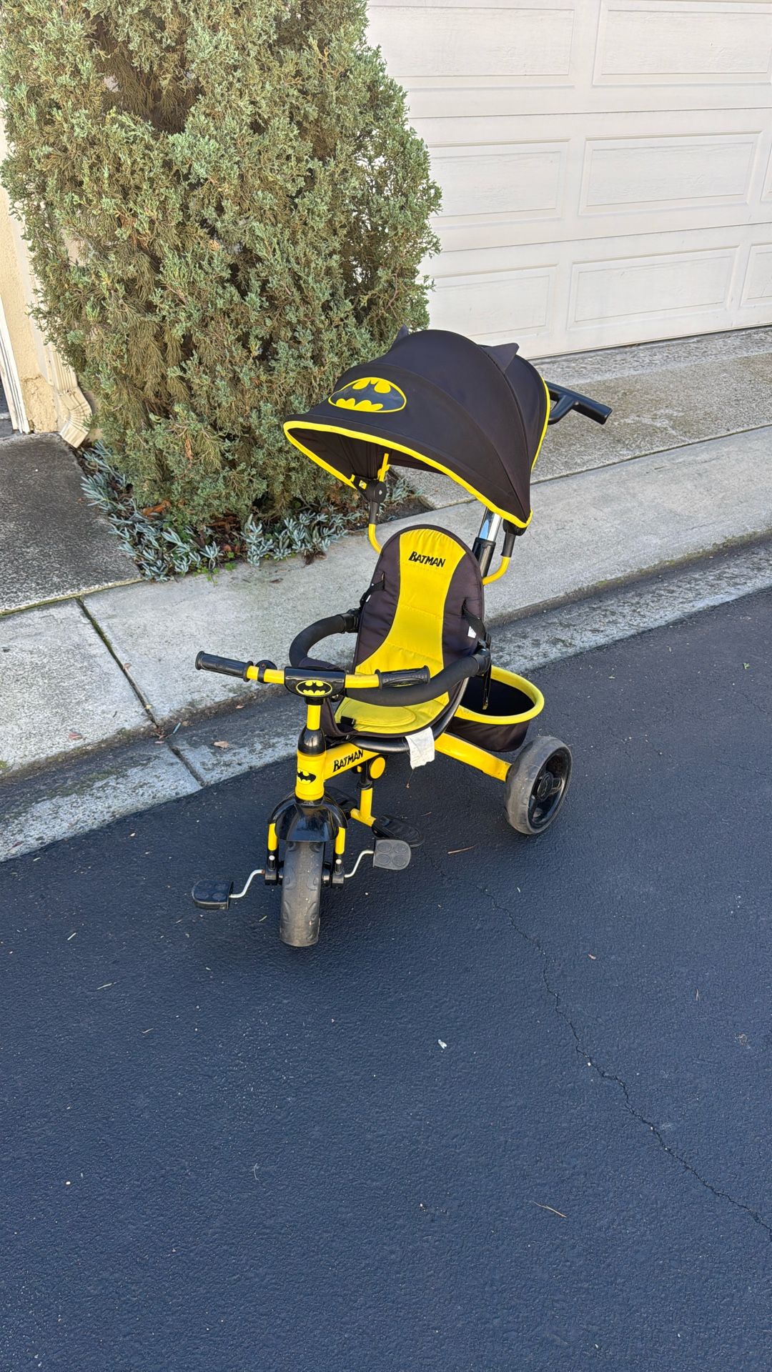 Kids Embrace Batman Tricycle