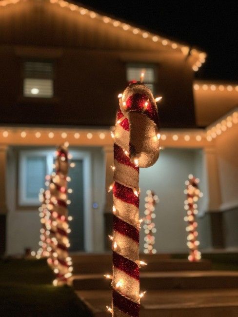 Christmas Lights 🎄