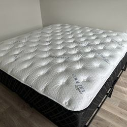 Queen Mattresses! Need To Clear Out! 50-80% OFF Retail