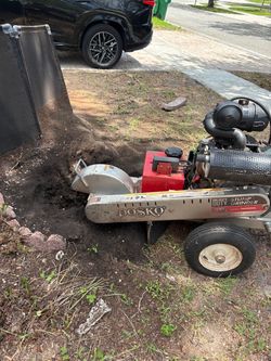 Stump Grinding Sale