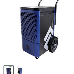 AirGrean Portable Dehumidifier, 110