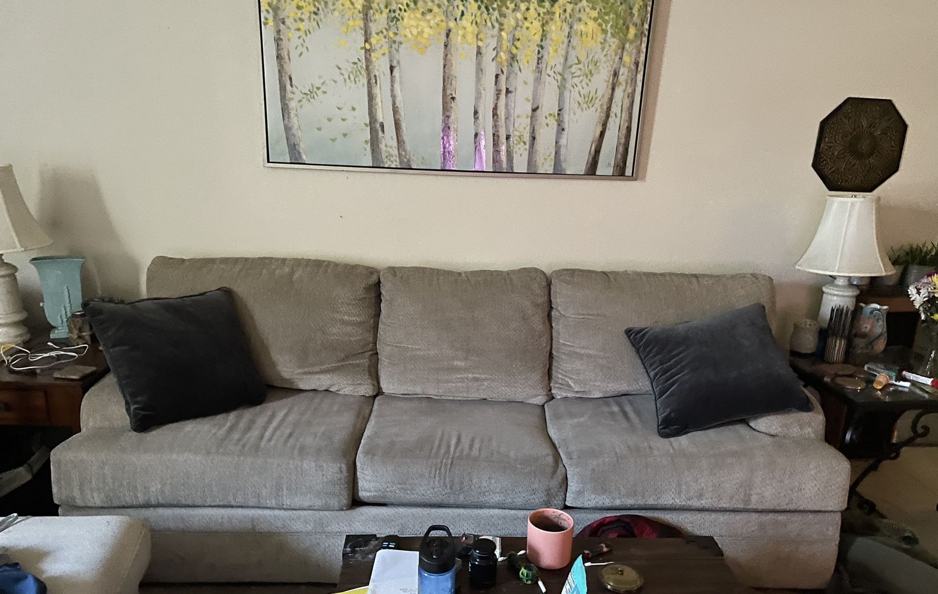 3 Yr Old Couch 30$ If You Can Haul It! TODAY