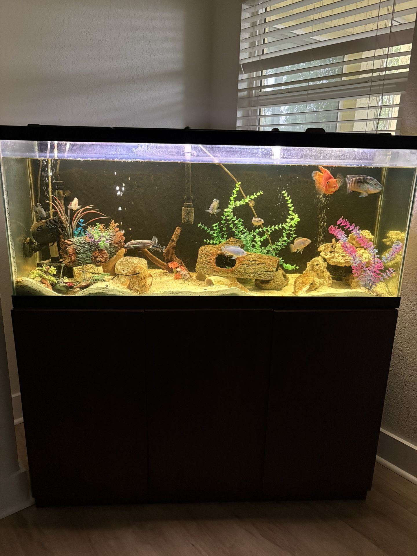 fish tank