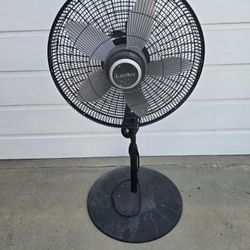 Fan