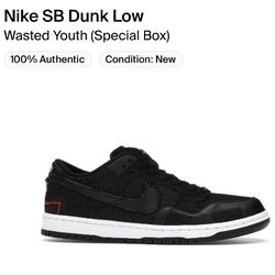 Nike SB Dunk Low Wasted Youth Size 8.5
