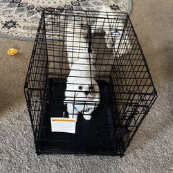Dog Kennels-Crates 