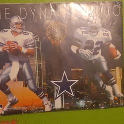 1994 Dallas cowboys Poster 
