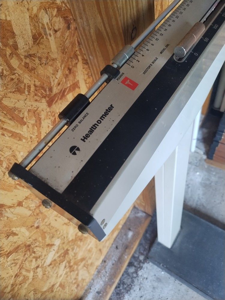 Health o Meter Scale