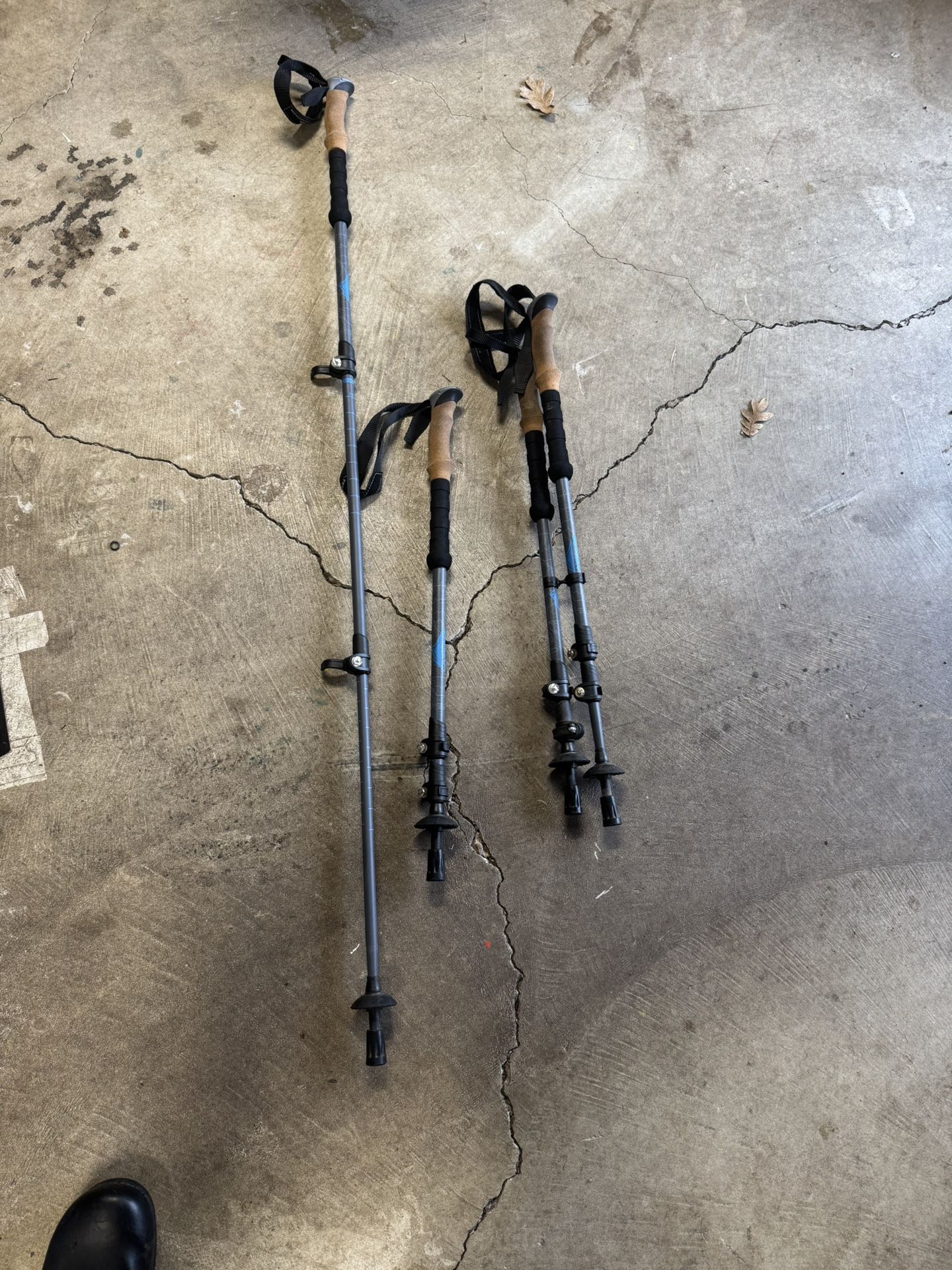 Pairs Of Hiking Poles