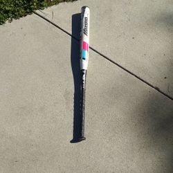 Mizuno Fastpitch Softball Bat