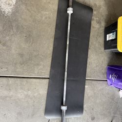 Olympic Barbell 45lbs