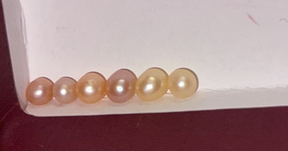 Pearls ( 6 )