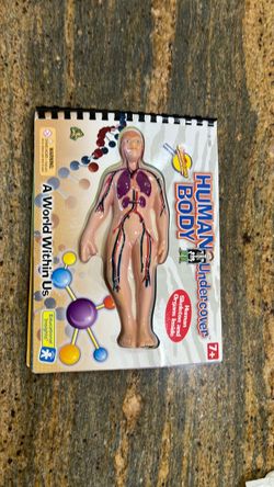 Human Body