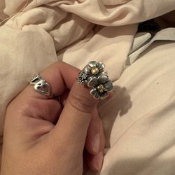 Blossom And Bee Ring