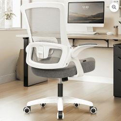 NEO CHAIR Ergonomic Office Chair, Adjustable High Back Mesh Desk Chair with Flip-up Arms, Gray