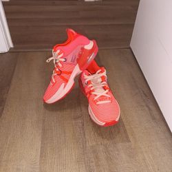 LeBron Basketball Shoes