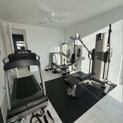 Vectra/True Fitness Home Gym Equipment 