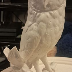 Owl Decor