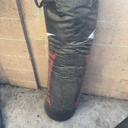 90lbs Punching Bag