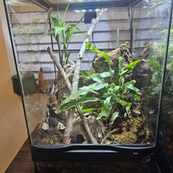 Bio-Active Terrarium 12*12*18 COMPLETE 