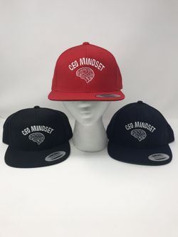 Custom CEO MINDSET Snapback